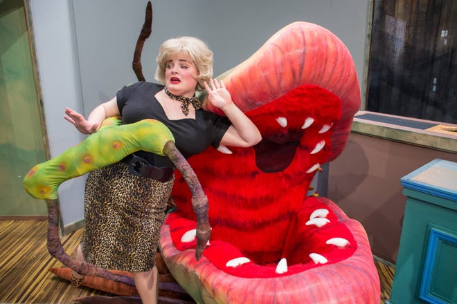 Christine Daugherty stars as Audrey in the Erie Playhouse's "Little Shop of Horrors." [RICK KLEIN/CONTRIBUTED PHOTO]