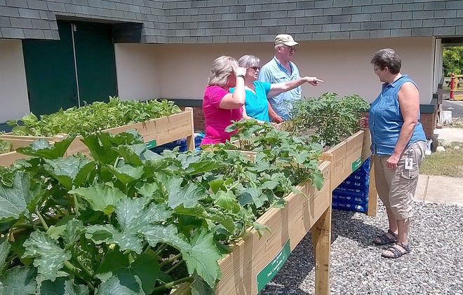 Cindy Magda (center) and her fellow staff members look over the school’s vegetable gardens. [ANDY BARRAND PHOTO]