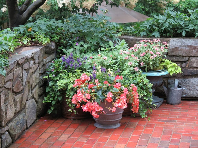 Cluster flowerpots together for more impact. Large pots are a better choice than small containers — plants have more room to grow, and they need less attention to watering. Large pots are also a more noticeable feature — you won't trip over them.