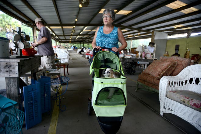 Judie Jones pushes her dog Louis in a stroller as she browses various booths at Renninger's Flea Market and Antique Center on Friday in Mount Dora. Renninger's is hosting a weekend-long yard sale that will run until 4 p.m. Sunday. [AMBER RICCINTO / DAILY COMMERCIAL]