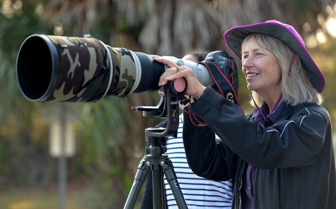 Mary Lundeberg photographs birds at the Venice Area Audubon Rookery. [Herald-Tribune staff photo / Mike Lang]