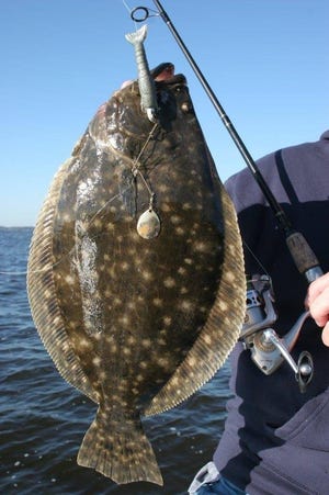 Good numbers of early flounder have pushed into the region, offering hot fishing for anglers in many tidal waters. While flounder are caught in bigwater by fishermen on large boats, good action also can be had by anglers working small tidal creeks from johnboats and kayaks. (Bob McNally/Forthe Times-Union)