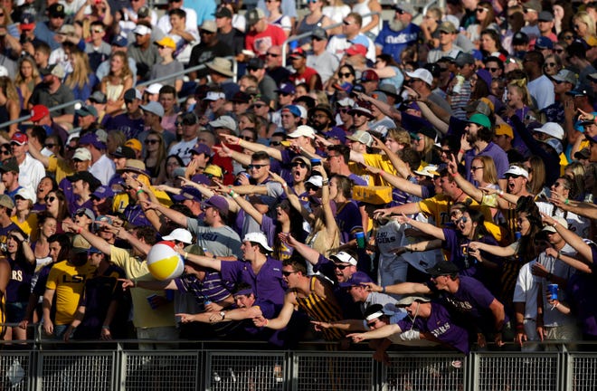LSU fans cheer during the first inning against Florida in Game 2 of the NCAA College World Series baseball finals in Omaha, Neb., Tuesday, June 27, 2017. (AP Photo/Nati Harnik)