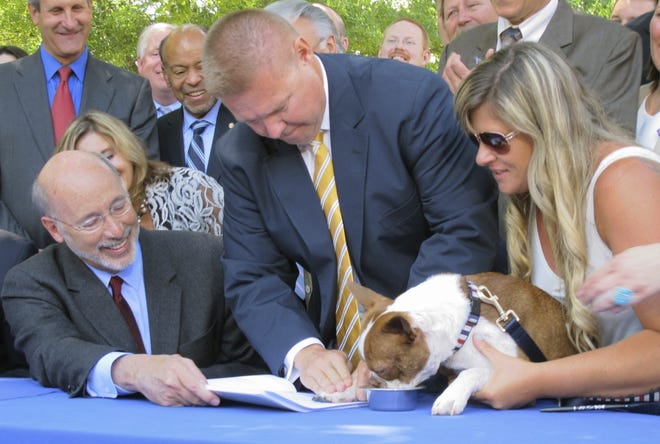 After getting the signature of Gov. Tom Wolf, left, Pennsylvania's animal cruelty bill gets a paw print by Libre, a Boston terrier puppy who was emaciated and diseased when he was rescued last year by a delivery truck driver from an animal breeder in Lancaster County, Wednesday, June 28, 2017 in Harrisburg, Pa. (AP Photo/Marc Levy)