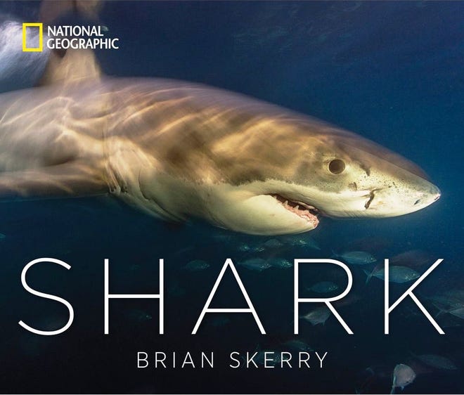 “Shark.” [National Geographic]