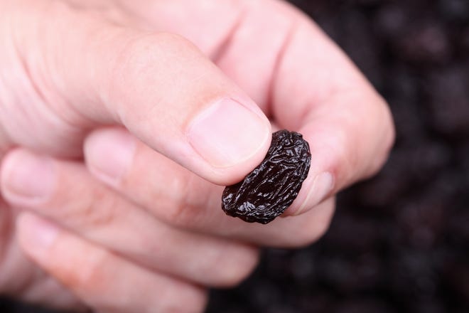 Take one raisin and place it in your hand. Imagine you have no idea what a raisin is and this is the first time you're seeing one. [ISTOCK IMAGE]