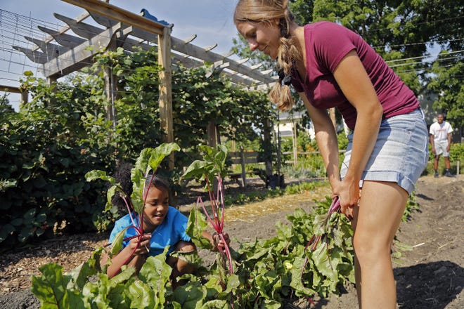Jazmyn Benjamin, educator for the Hilltop Youth Garden, watches Diamond Demmons, 9, pull beets. The garden has a rule that the children must at least try the produce. [Kyle Robertson/Dispatch]