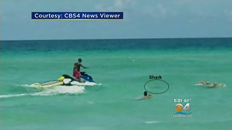 Palm Beach Nude Beach - Naked swimmer bitten by shark at Florida beach
