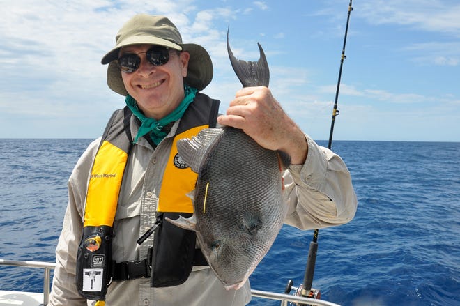 Jon Dodrill holds a gray triggerfish caught during a tagging trip off Panama City. [AMANDA NALLEY/FWC FILE]