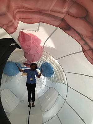 During Monday's Party for the Ocean event, visitors will experience how whales stay warm, see, hear and stay afloat or even explore inside a 43-foot inflatable humpback whale. [SUBMITTED]