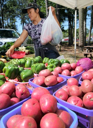 Delia Weslowski loads up a bag for a customer at the Lynn Haven Farmers Market in April 2016. [NEWS HERALD FILE PHOTO]