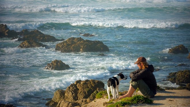 John Brodie hangs out with his dog anothe the trail by Spanish Bay along 17 Mile Drive in Monterey. April 2017 Nell Carroll/AMERICAN-STATESMAN