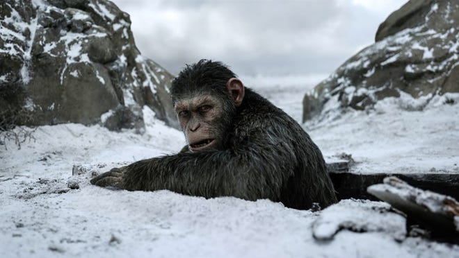 “War for the Planet of the Apes” is a satisfying end to the recent series — and sets up possible future stories. Contributed by Twentieth Century Fox