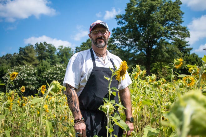 John McCall, manager of Olio's, a resturant in West Gastonia, planted a field of sunflowers outside the business in memory of former owner. [DEMETRIA MOSLEY\THE GASTON GAZETTE]