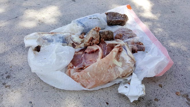 This photo provided by Austin Adair taken Saturday shows a 15-pound bag of frozen pork that fell from the sky onto the home of Travis Adair in Fort Lauderdale, Fla. The home is near three airports, so Adair thinks it fell from a plane. (Austin Adair via Associated Press)