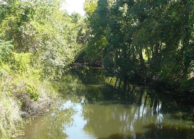 McCoys Creek could be turned into something like the urban streams in San Antonio and Oklahoma City. It runs from the Prime Osborn Convention Center then under the Times-Union building. Along with Hogans Creek, it is a centerpiece of the "Emerald Necklace."