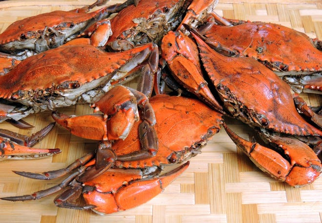 Cooked whole blue crabs ready for cracking and picking. (Photo by Damon Lee Fowler/For Savannah Morning News)