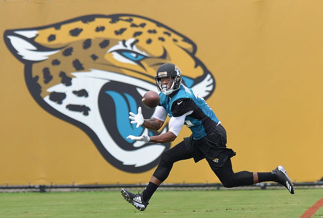 Allen Robinson (15) makes a catch working through drills. The Jacksonville Jaguars opened their training camp on the practice fields adjacent to EverBank Field.