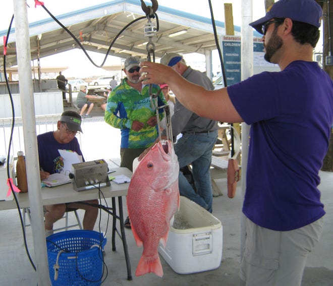 John Mattingly (right) holds the scale steady to weigh a red snapper as fellow weighmaster Martin Bourgeois (seated) records the weight at Friday’s second day of the 89th Annual International Grand Isle Tarpon Rodeo at Sand Dollar Marina. [Brent St. Germain/Staff – houmatoday/dailycomet]