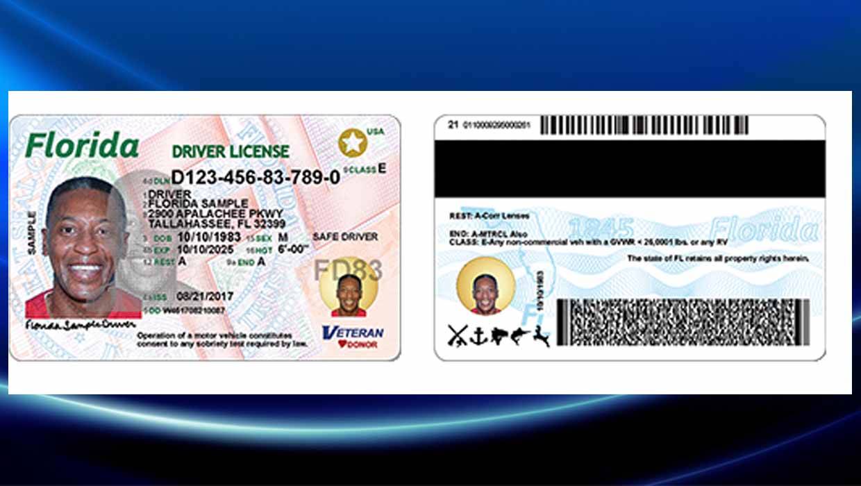 Florida Fakes Ids