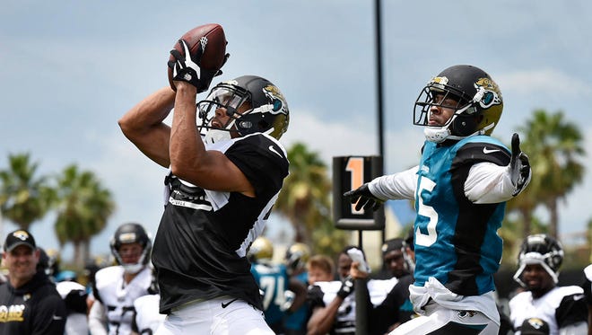 Jaguars free safety Tashaun Gipson intercepted quarterback Blake Bortles during Thursday’s practice. Gipson has three of the defense’s seven interceptions through eight training camp practices. (Will Dickey/Florida Times-Union)