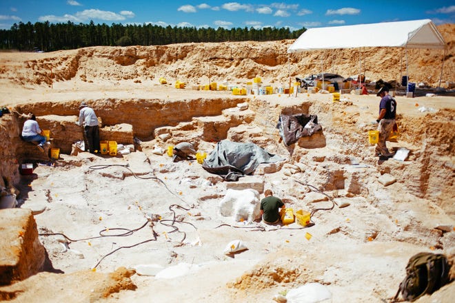 Volunteers and scientists excavate fossils at Montbrook, which is located in Levy County.