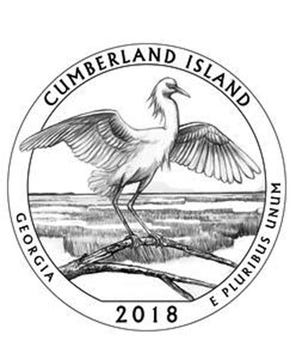A snowy egret will be featured on a 2018 quarter honoring Cumberland Island National Seashore that the U.S. Mint will release next summer. (From the National Park Service)