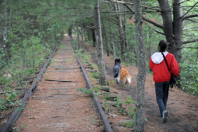 A woman and her dogs run along the MBTA rail bed, the proposed Eversource power line route.

[Daily News and Wicked Local Staff Photo/Art Illman]