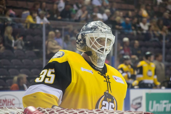 Last year at Mississippi, Peter Di Salvo had a 12-5-1 record with a 2.96 goals-against average and .900 saves percentage. As a pro, Di Salvo has a record of 60-29-7. [CONTRIBUTED PHOTO]