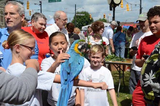 "George", a blue and gold Macaw from The Bird Nerds Rescue/Sanctuary in East Canton, delights childrend and adults Saturday during Massillon's annual Fun Fest. Crafts, inflatables, live music, face painting were also part of the event. (Jennifer Clark for The Independent)