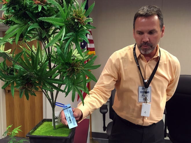 FILE--In this May 15, 2016 file photo, Todd Golden displays a sample tag which can be scanned by radio-frequency identification devices, on an artificial marijuana plant at the Oregon Liquor Commission offices in Portland, Ore. Two reports say Oregon is an epicenter of marijuana production, with cannabis being smuggled across the USA. Oregon and other legalized states are trying to curtail this diversion into the black market, as the federal government considers more aggressive enforcement in those states. (AP Photo/Andrew Selsky, file)