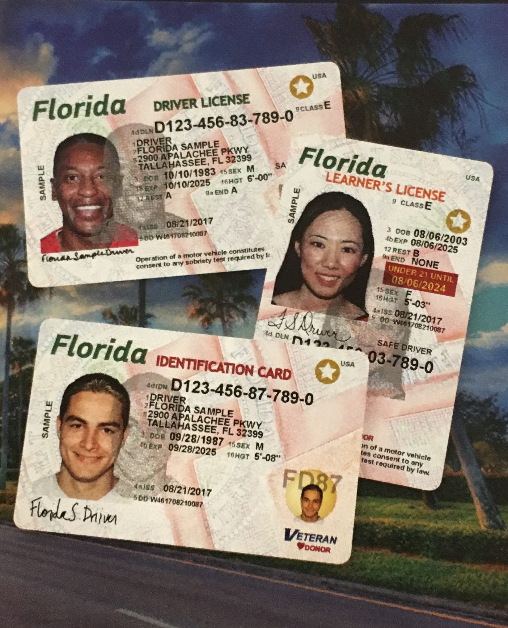 Florida Id Card Sample