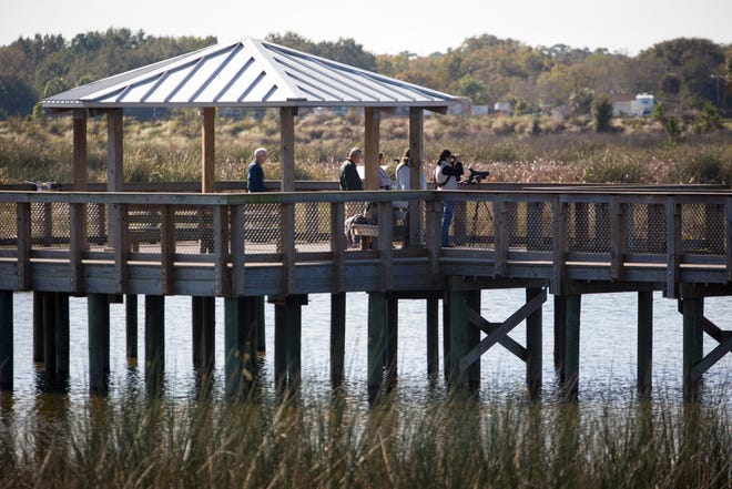 Audubon Society bird naturalists identify birds for visitors at the Celery Fields in Sarasota on Jan. 17, 2015. An open-air recycling facility is proposed for land near the pavilion. [HERALD-TRIBUNE ARCHIVE / 2015]