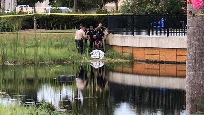 Police investigate after a body was found in a retention pond along Front Beach Road on Saturday evening. [MIKE CARTER/CONTRIBUTED PHOTO]