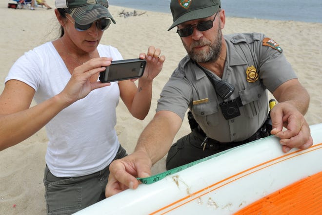 Cynthia Wigren, with Atlantic White Shark Conservancy, works with Acting District Ranger Tim Morrison to measure the shark bite marks on Cleveland Bigelow's paddle board last week the at Marconi Beach at the Cape Cod National Seashore in Wellfleet. [Cape Cod Times/Steve Heaslip]