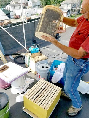 SUBMITTED PHOTO

Beekeeper Tim Parker with a canister of honeybees removed from the chimney of the Byesville Museum.