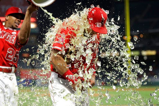 Los Angeles Angels' Cliff Pennington is doused with liquid by Ben Revere following the team's 10-8 win against the Oakland Athletics in a baseball game, Wednesday, Aug. 30, 2017, in Anaheim, Calif. Pennington hit his first career grand slam. (AP Photo/Jae C. Hong)