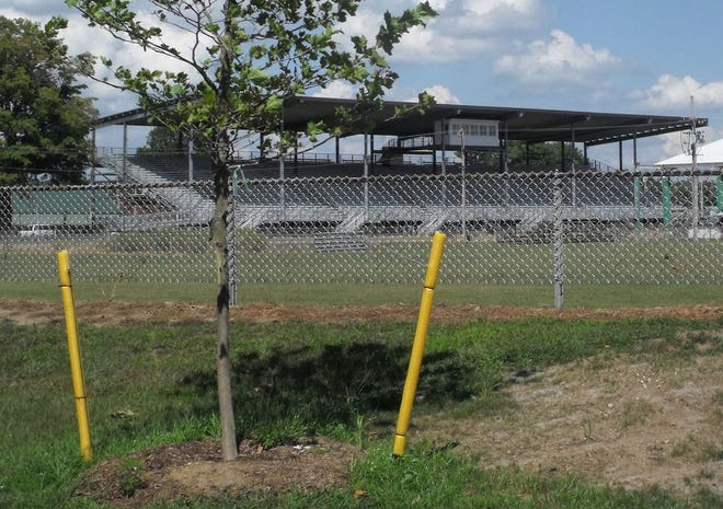 Maple trees growing near the race track are part a reforesting project that began at the St. Joseph County fairgrounds this year.