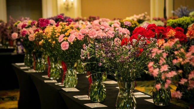 Nearly 5,000 flowers will be on display at The Breakers later this week. The public can check them out for free. Courtesy Society of American Florists