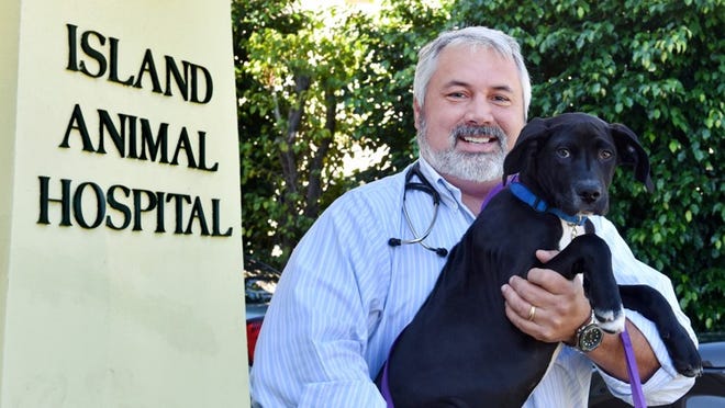 Brad Ochstein, owner of Island Animal Hospital, holds one if his rescue dogs, Chop, in front of the clinic on Sunset Avenue in 2015. Meghan McCarthy/Daily News file photo