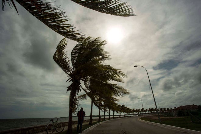 Winds brought by Hurricane Irma blow palm trees lining the seawall in Caibarien, Cuba, Friday, Sept. 8, 2017. Cuba evacuated tourists from beachside resorts after Hurricane Irma left thousands homeless on a devastated string of Caribbean islands and spun toward Florida for what could be a catastrophic blow this weekend. (AP Photo/Desmond Boylan)