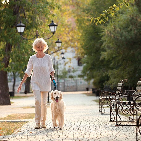 3 Ways Pups Can Improve Seniors' Health