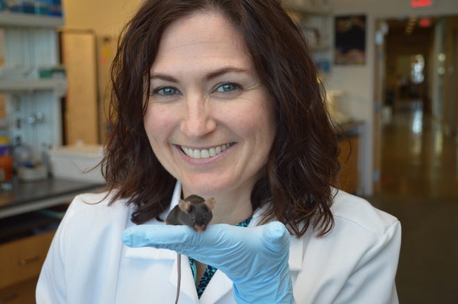 Oklahoma Medical Research Foundation scientist Courtney Griffin studies the emerging field of epigenetics. She edits DNA of laboratory mice so that she can understand the development and function of blood vessels in these animals. [photo provided]