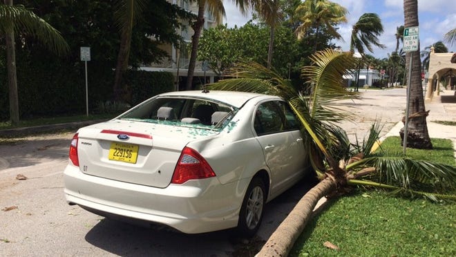 Palm tree hits, breaks rear windshield of Town of Palm Beach official car parked on Peruvian Avenue. Darrell Hofheinz/Daily News