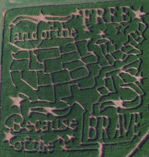 An aerial view of the Shelby Corn Maze. This year's design features the United States and the words 'Land of the free because of the brave.' [Alice Pyron/Special to The Star]