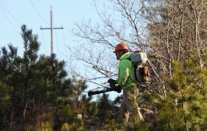 A worker applies herbicide along an Eversource power line right-of-way in Bourne in 2013. Brewster won a temporary restraining order from a Barnstable Superior Court judge that blocks any planned herbicide spraying by Eversource at least until Friday. [Steve Heaslip/Cape Cod Times file]