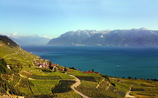 The Lavaux terraced vineyards were planted nearly a thousand years ago on dizzyingly steep slopes along Switzerland's Lake Geneva. The area is a UNESCO world heritage site. [Joanne and Tony DiBona]