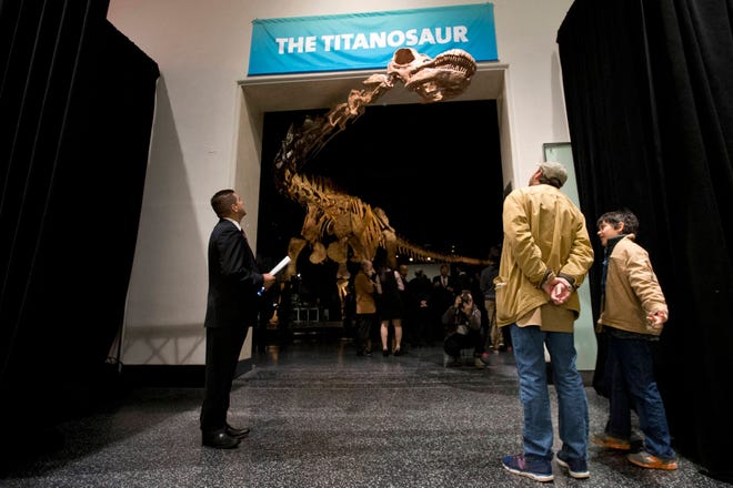 File-This Jan. 14, 2016, file photo shows visitors to the American Museum of Natural History examining a replica of a 122-foot-long dinosaur on display at the American Museum of Natural History in New York. (AP Photo/Mary Altaffer, File)