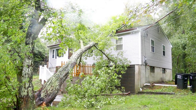 Wareham firefighters had a busy morning responding to trees felled by high winds in the wake of Jose, including a tree down on a house on White Pine Avenue.

[Photo/David Curran]