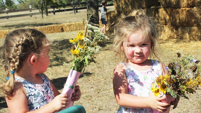 Zara (left) and Ada Burgin, of Lawrence, makes a prairie bouquets for her parents at Kidz Korral at the Prairie Festival held at The Land Institute. [TIM HORAN / SALINA JOURNAL]